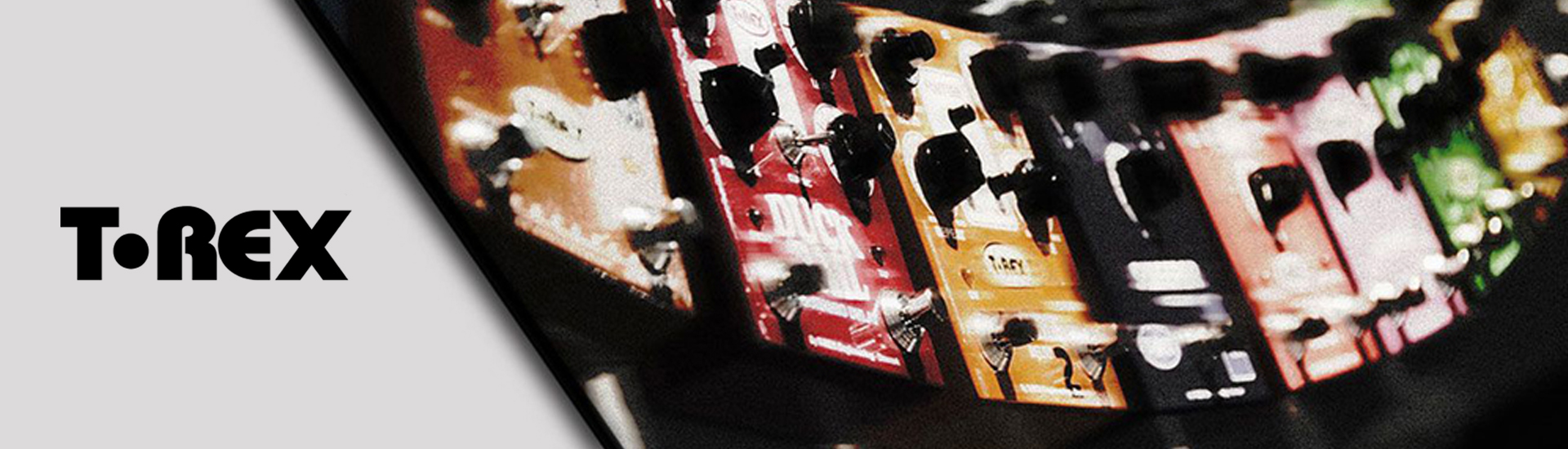 T-REX